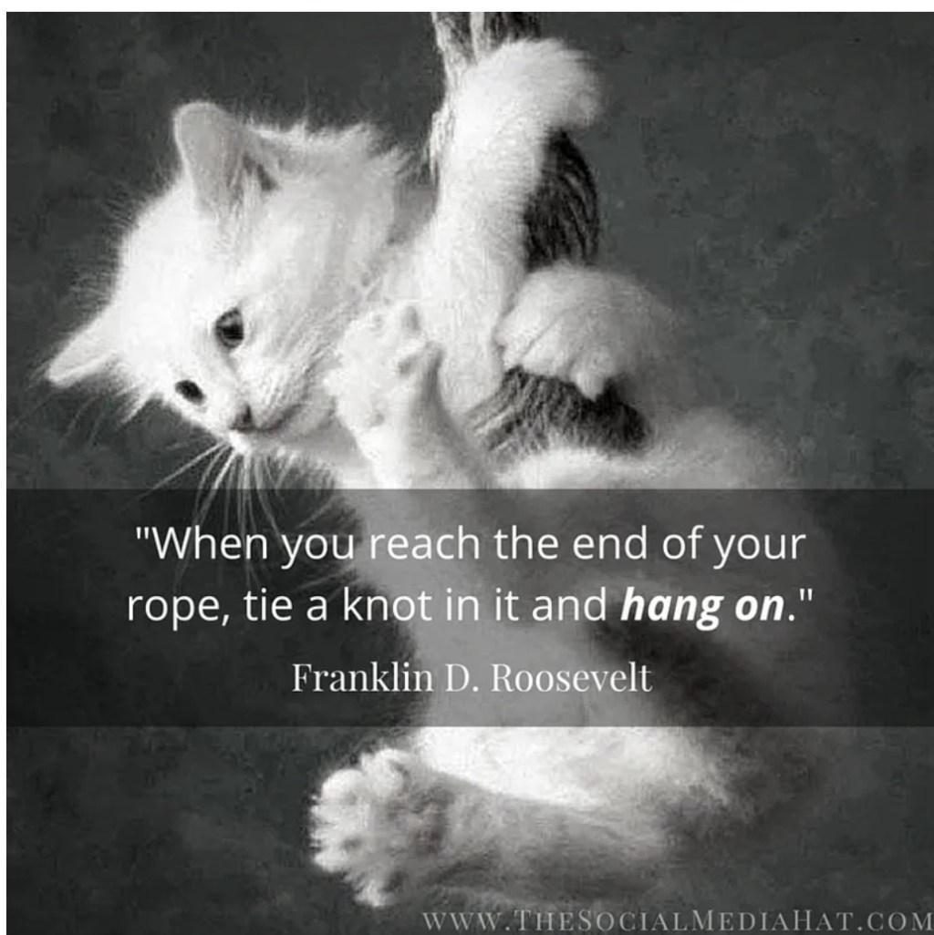 Tie A Knot and Hold&nbsp;On